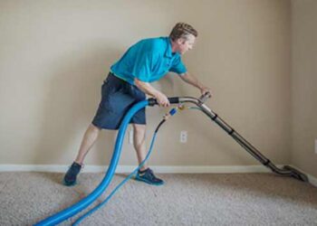 Your Carpets Deserve the Best: Expert Cleaning