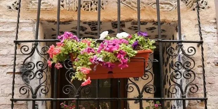 grill paint colour 4