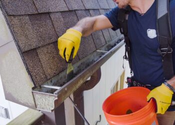 Gutter Cleaning
