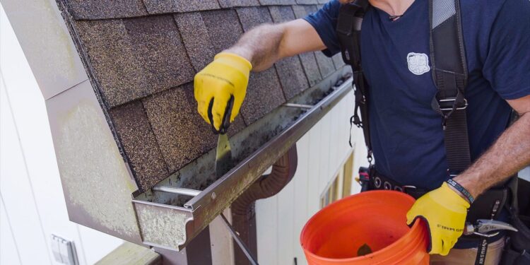 Gutter Cleaning