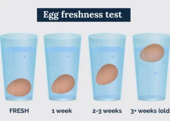 egg freshness test water