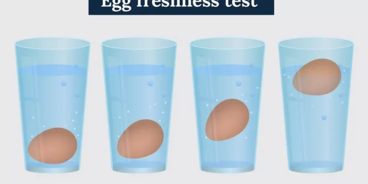 egg freshness test water