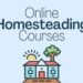homesteading training