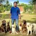 what is a dog whisperer