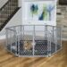 plastic dog gate