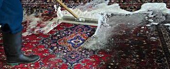 Gentle Care for Your Carpets: Trusted Cleaning