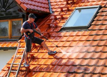 Roof Cleaning