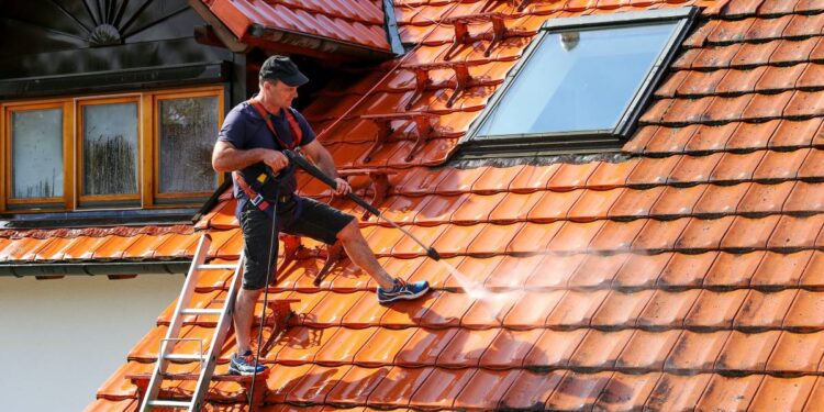 Roof Cleaning