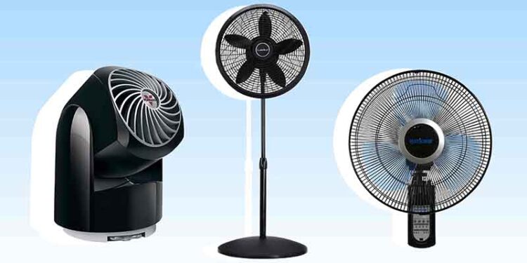 Oscillating Fans