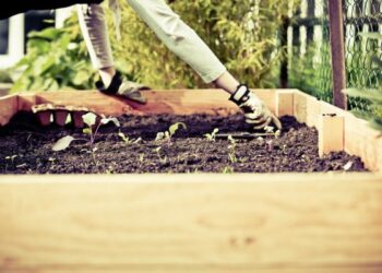 raised garden bed ideas