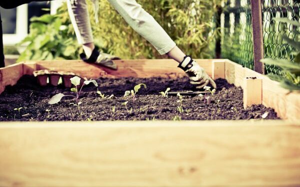 raised garden bed ideas
