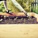 raised garden bed ideas