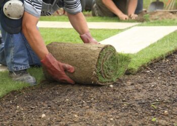 landscaping