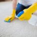 Carpet Sanitization