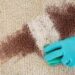 Carpet Stain Removal