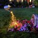 Cheap Simple Front Yard Landscaping Ideas