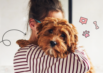 Emotional Pet Support