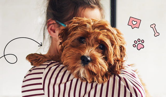 Emotional Pet Support