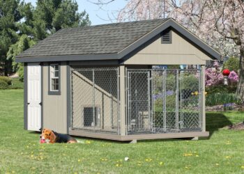 dog house design outdoor