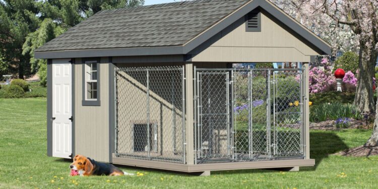 dog house design outdoor