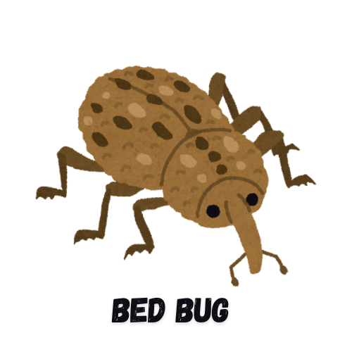 Bed Bug Pest Inspections