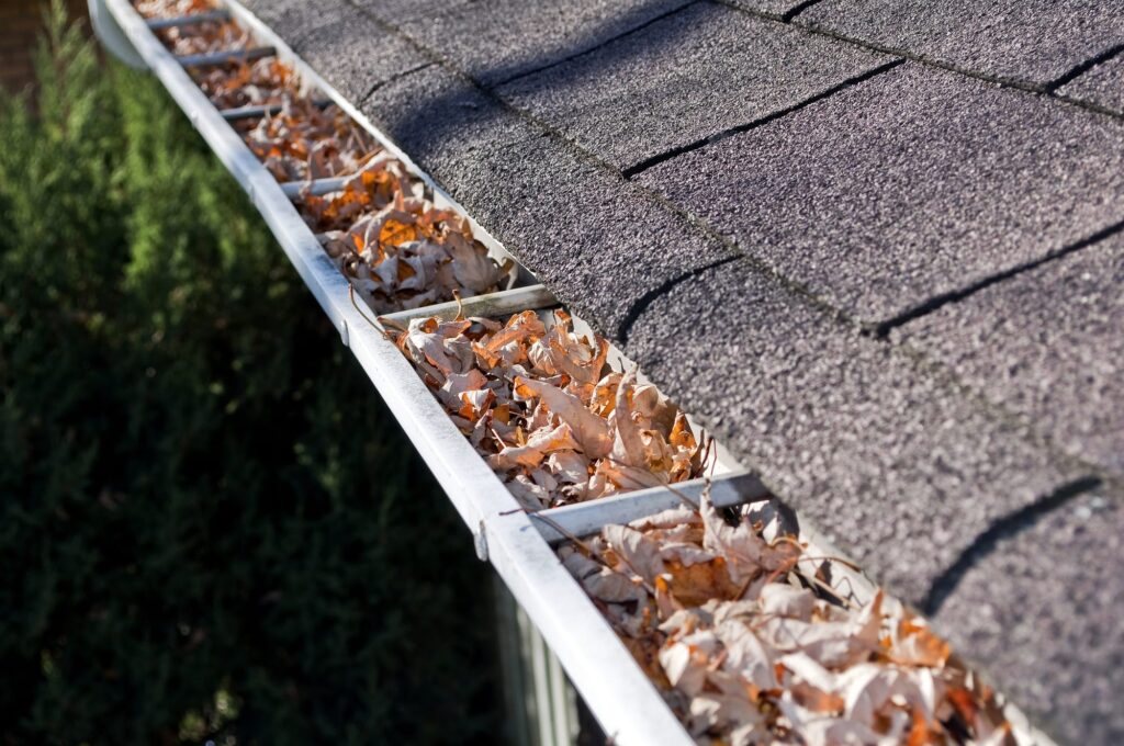 The Benefits of Clean Gutters