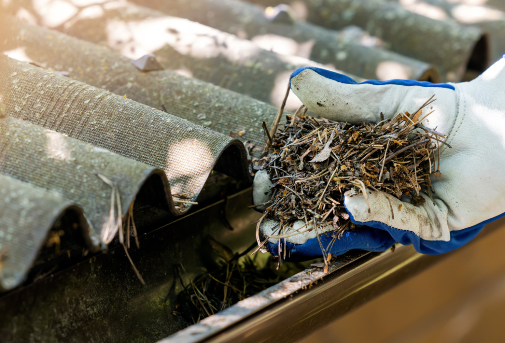 cleaning your gutters