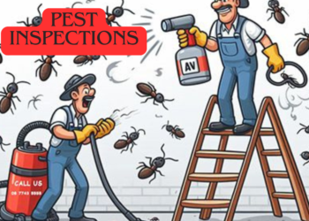 Pest Inspections