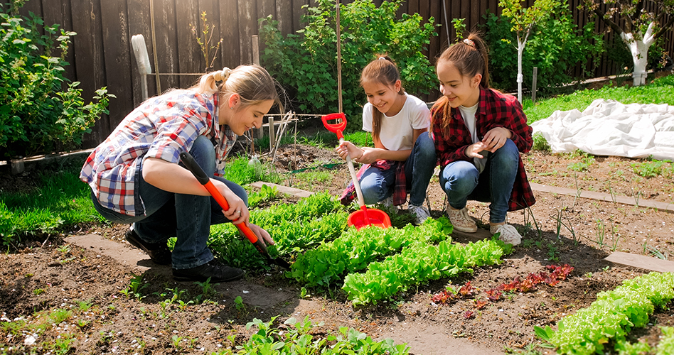 Landscaping and Gardening