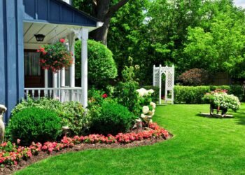 Landscaping and Gardening