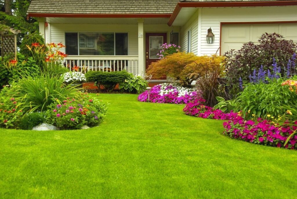 Key Differences Between Landscaping and Gardening