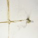 cracks in ceiling