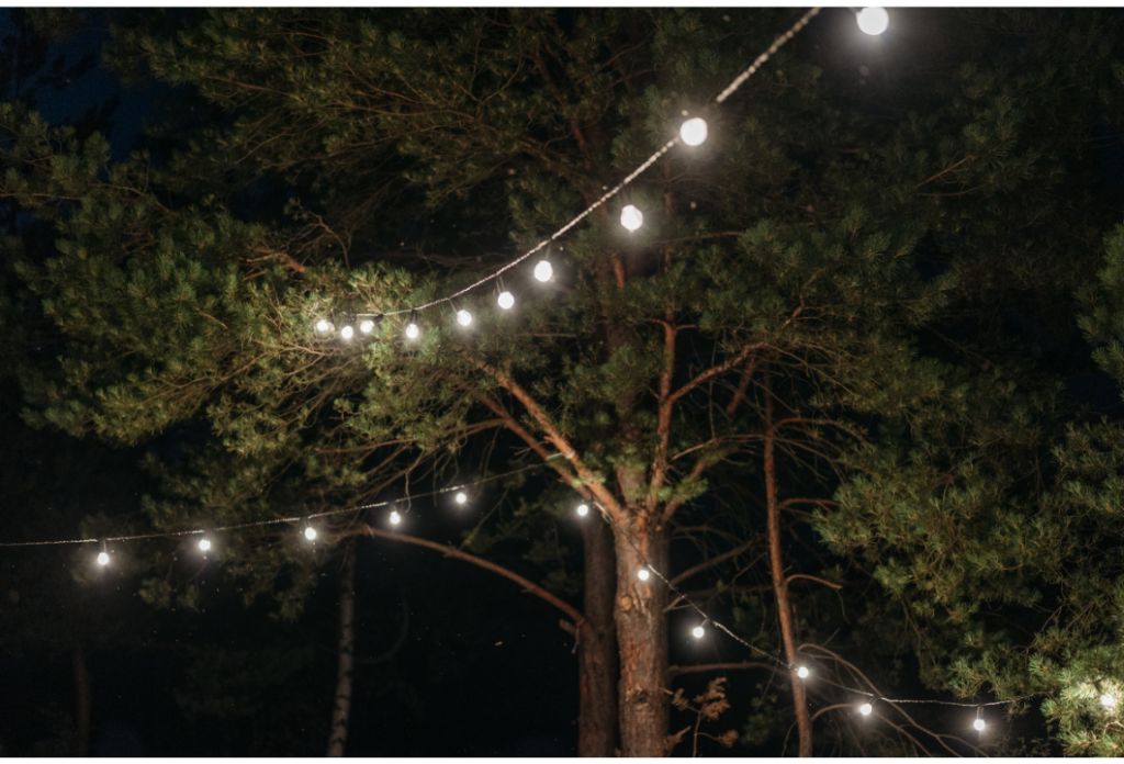 Tree Lighting home lighting ideas