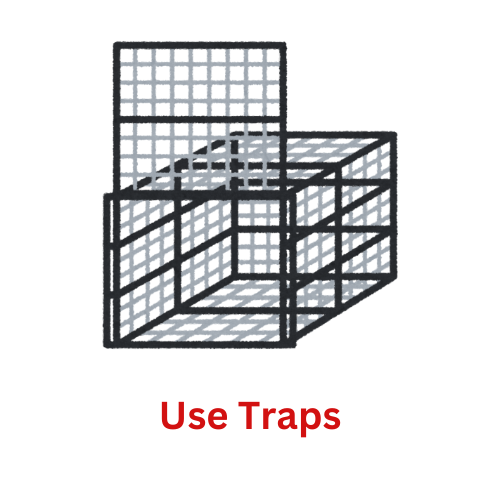 Use Traps rodent control