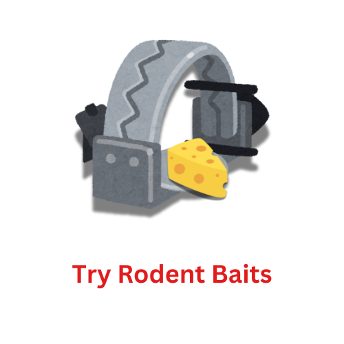 Try Rodent Baits rodent control