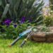 Garden Makeover