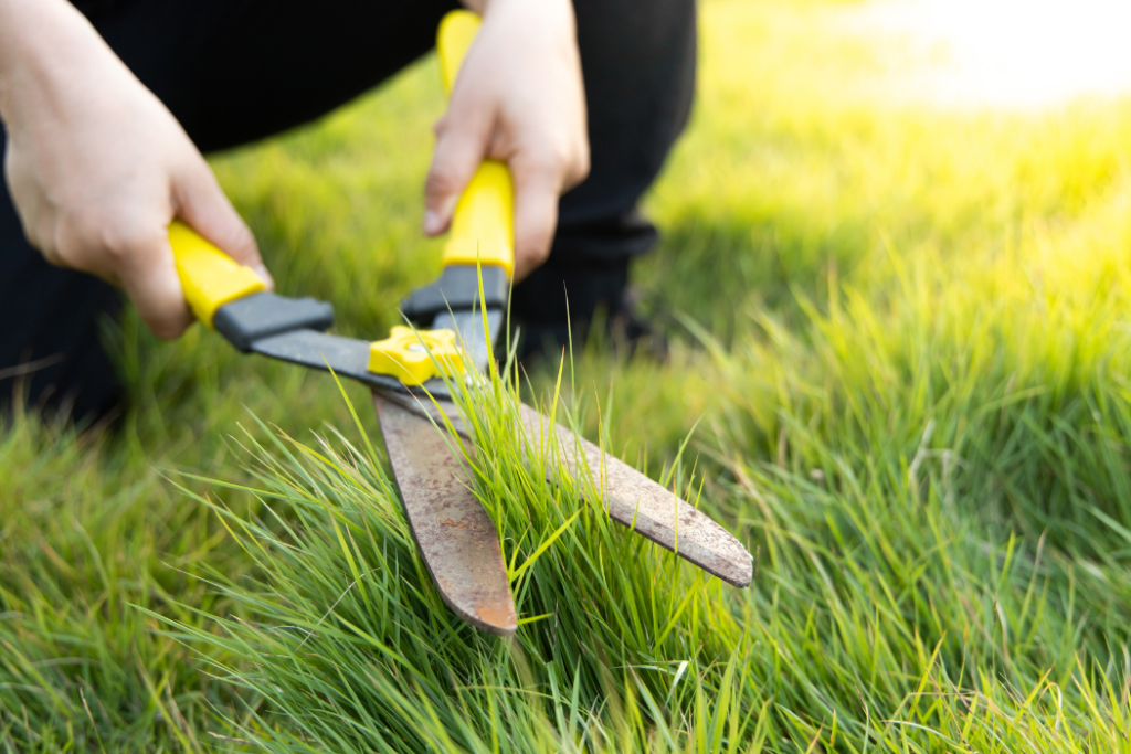 Lawn Care garden makeover