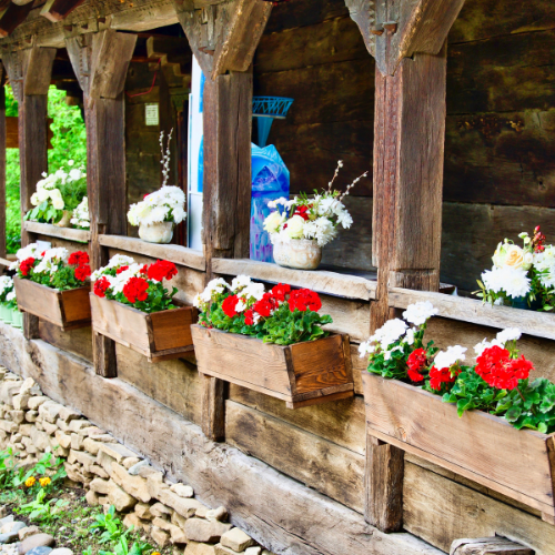 Planter Boxes outdoor